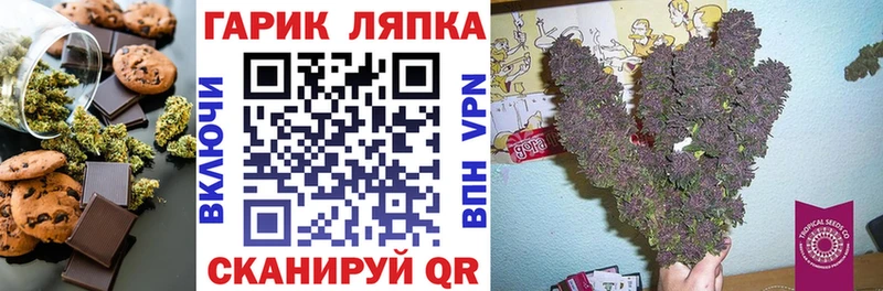 где купить наркоту  MEGA как зайти  Печенье с ТГК конопля  Кашин 
