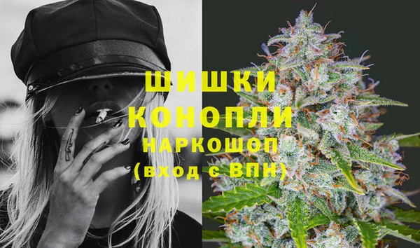 PSILOCYBIN Переславль-Залесский