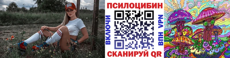 Псилоцибиновые грибы Psilocybine cubensis  что такое наркотик  мега как войти  Кашин 